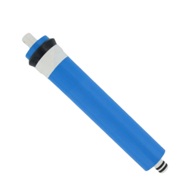 1812 RO Membrane Replacement