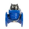 Irrigation-Water-Meter.jpg